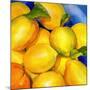 Zest For Life-Terri Hill-Mounted Premium Giclee Print