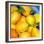 Zest For Life-Terri Hill-Framed Giclee Print