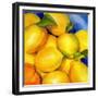 Zest For Life-Terri Hill-Framed Giclee Print