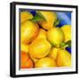 Zest For Life-Terri Hill-Framed Premium Giclee Print