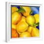 Zest For Life-Terri Hill-Framed Premium Giclee Print