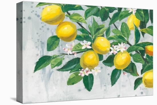 Zesty Lemons-James Wiens-Stretched Canvas