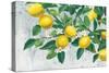 Zesty Lemons-James Wiens-Stretched Canvas