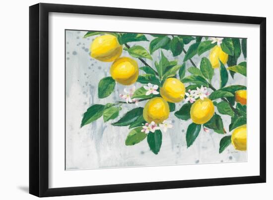 Zesty Lemons-James Wiens-Framed Art Print