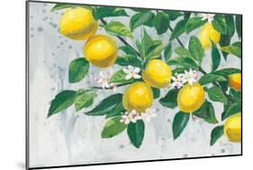 Zesty Lemons-James Wiens-Mounted Art Print