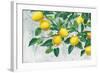 Zesty Lemons-James Wiens-Framed Art Print