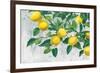 Zesty Lemons-James Wiens-Framed Art Print