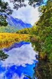 NZ Mirror Lake Green Vert-zetter-Photographic Print