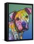 Zeus Custom-004-Dean Russo-Framed Stretched Canvas