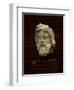 Zeus-null-Framed Giclee Print