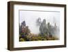 Zhang Jia Jie Fall Color-Hua Zhu-Framed Photographic Print