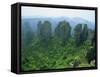 Zhangjiajie Forest Park in Wulingyuan Scenic Area in Hunan Province, China-Robert Francis-Framed Stretched Canvas