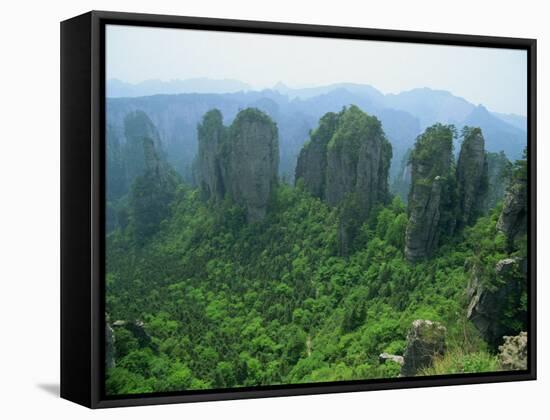 Zhangjiajie Forest Park in Wulingyuan Scenic Area in Hunan Province, China-Robert Francis-Framed Stretched Canvas