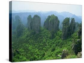 Zhangjiajie Forest Park in Wulingyuan Scenic Area in Hunan Province, China-Robert Francis-Stretched Canvas