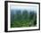 Zhangjiajie Forest Park in Wulingyuan Scenic Area in Hunan Province, China-Robert Francis-Framed Photographic Print