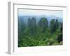 Zhangjiajie Forest Park in Wulingyuan Scenic Area in Hunan Province, China-Robert Francis-Framed Photographic Print