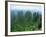 Zhangjiajie Forest Park in Wulingyuan Scenic Area in Hunan Province, China-Robert Francis-Framed Photographic Print