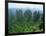 Zhangjiajie Forest Park in Wulingyuan Scenic Area in Hunan Province, China-Robert Francis-Framed Photographic Print