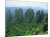 Zhangjiajie Forest Park in Wulingyuan Scenic Area in Hunan Province, China-Robert Francis-Mounted Photographic Print