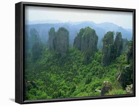 Zhangjiajie Forest Park in Wulingyuan Scenic Area in Hunan Province, China-Robert Francis-Framed Photographic Print