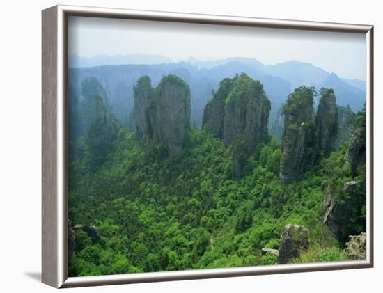 Zhangjiajie Forest Park in Wulingyuan Scenic Area in Hunan Province, China-Robert Francis-Framed Photographic Print