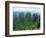 Zhangjiajie Forest Park in Wulingyuan Scenic Area in Hunan Province, China-Robert Francis-Framed Photographic Print