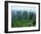 Zhangjiajie Forest Park in Wulingyuan Scenic Area in Hunan Province, China-Robert Francis-Framed Photographic Print