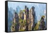 Zhangjiajie National Forest Park at Wulingyuan Hunan China-vichie81-Framed Stretched Canvas