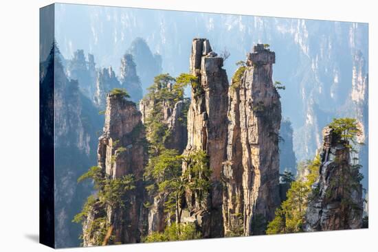 Zhangjiajie National Forest Park at Wulingyuan Hunan China-vichie81-Stretched Canvas