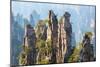 Zhangjiajie National Forest Park at Wulingyuan Hunan China-vichie81-Mounted Photographic Print