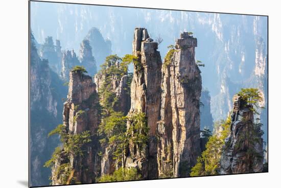 Zhangjiajie National Forest Park at Wulingyuan Hunan China-vichie81-Mounted Photographic Print