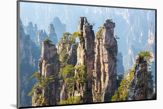 Zhangjiajie National Forest Park at Wulingyuan Hunan China-vichie81-Mounted Photographic Print