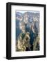 Zhangjiajie National Forest Park at Wulingyuan Hunan China-vichie81-Framed Photographic Print