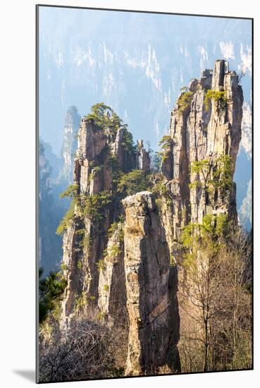 Zhangjiajie National Forest Park at Wulingyuan Hunan China-vichie81-Mounted Photographic Print