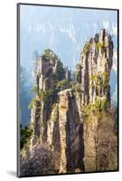 Zhangjiajie National Forest Park at Wulingyuan Hunan China-vichie81-Mounted Photographic Print