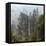 Zhangjiajie National Forest Park, Hunan, China-Ivan Vdovin-Framed Stretched Canvas