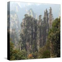 Zhangjiajie National Forest Park, Hunan, China-Ivan Vdovin-Stretched Canvas