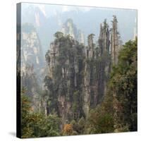 Zhangjiajie National Forest Park, Hunan, China-Ivan Vdovin-Stretched Canvas