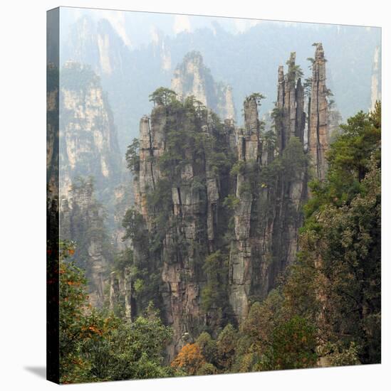 Zhangjiajie National Forest Park, Hunan, China-Ivan Vdovin-Stretched Canvas