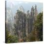 Zhangjiajie National Forest Park, Hunan, China-Ivan Vdovin-Stretched Canvas