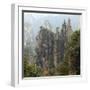 Zhangjiajie National Forest Park, Hunan, China-Ivan Vdovin-Framed Photographic Print