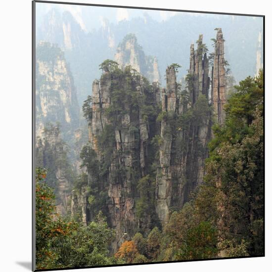 Zhangjiajie National Forest Park, Hunan, China-Ivan Vdovin-Mounted Photographic Print