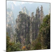 Zhangjiajie National Forest Park, Hunan, China-Ivan Vdovin-Mounted Photographic Print