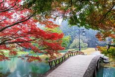 Beautiful Park in Autumn-Zhao jian kang-Framed Photographic Print