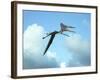 Zhejiangopterus, a Genus of Azhdarchid Pterosaur-null-Framed Art Print