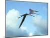 Zhejiangopterus, a Genus of Azhdarchid Pterosaur-null-Mounted Art Print