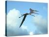 Zhejiangopterus, a Genus of Azhdarchid Pterosaur-null-Stretched Canvas