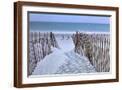 Brown Frame