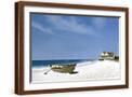 Brown Frame