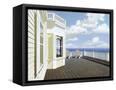 Canvas Black
